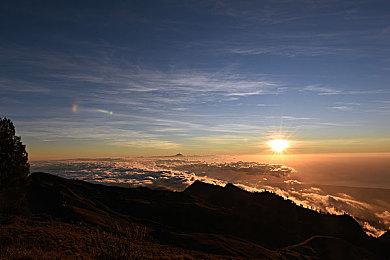 《忍者龙剑传4》新视频 身法如风步步杀机